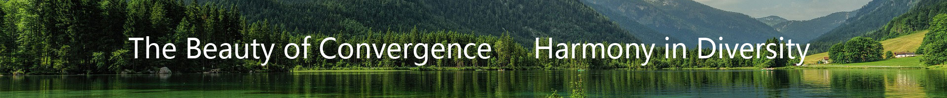 The Beauty of Convergence,